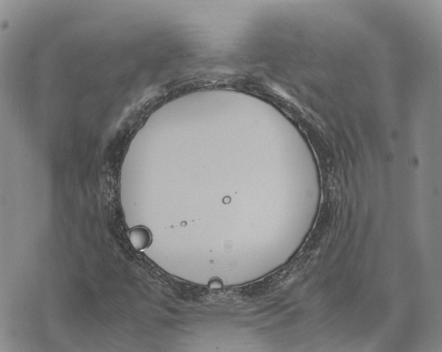 X0000072521447200608041520