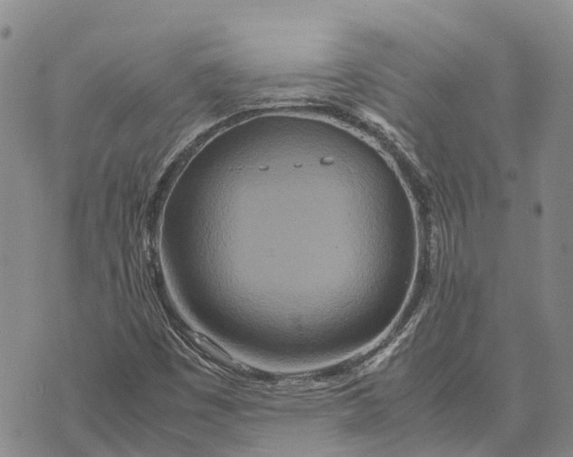 X0000072521449200608041520