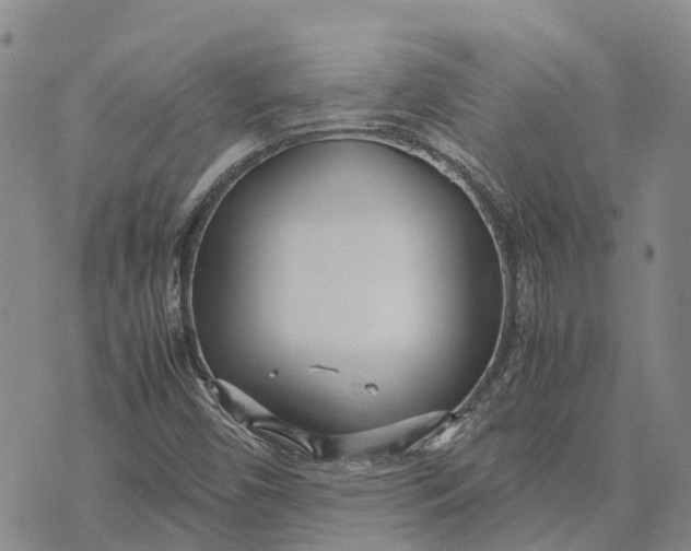 X0000072521450200608041520