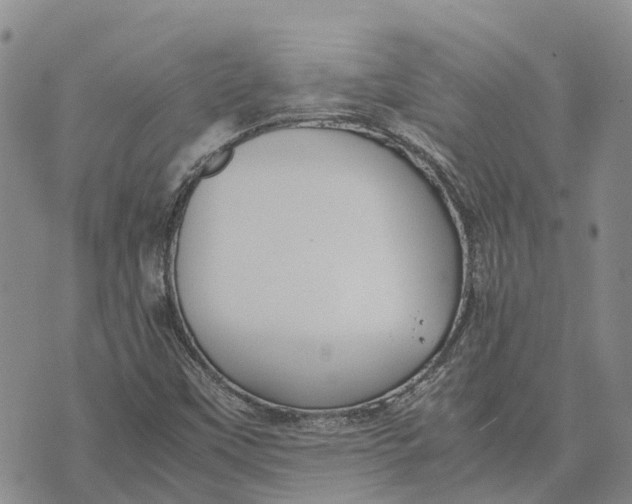 X0000072521451200608041520