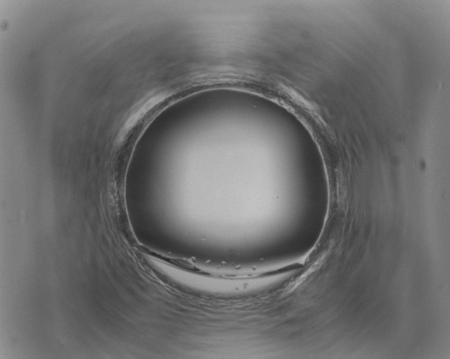 X0000072521453200608041520