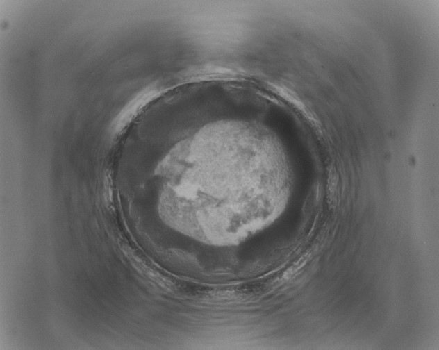 X0000072521455200608041520