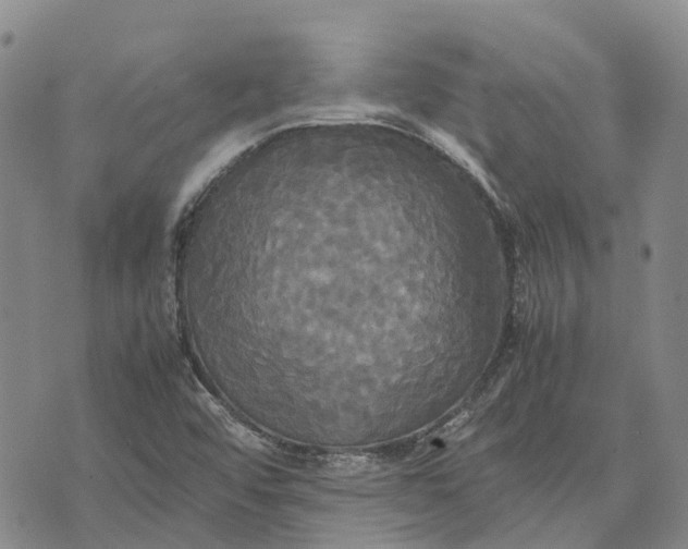 X0000072521456200608041520