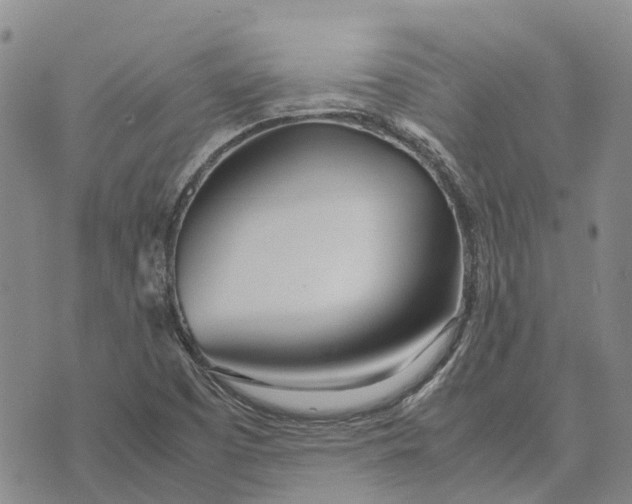 X0000072521457200608041520