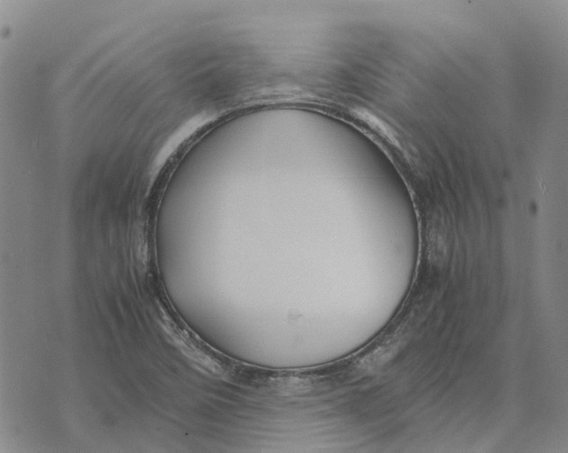 X0000072521458200608041520