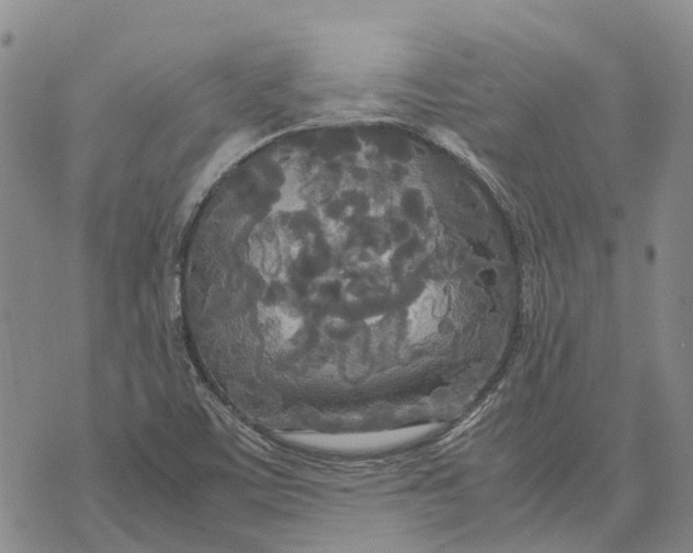 X0000072521459200608041520