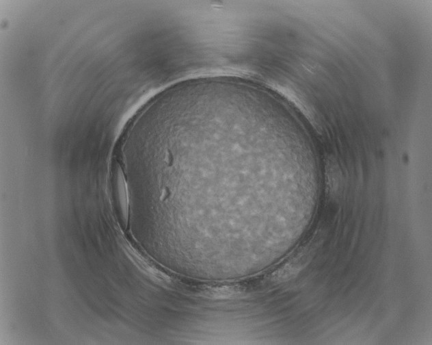 X0000072521460200608041520