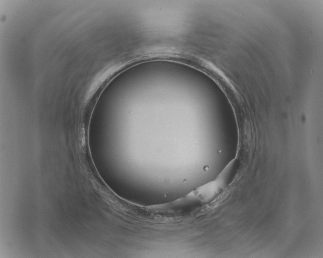 X0000072521461200608041520