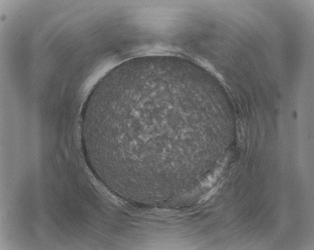 X0000072521463200608041519