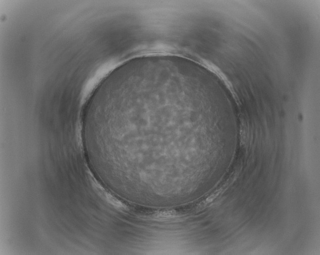 X0000072521464200608041519