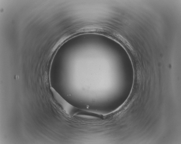 X0000072521465200608041519