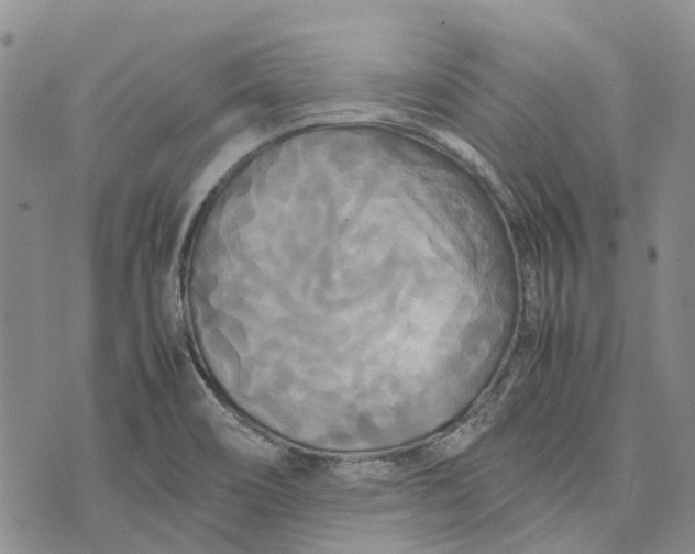 X0000072521466200608041519