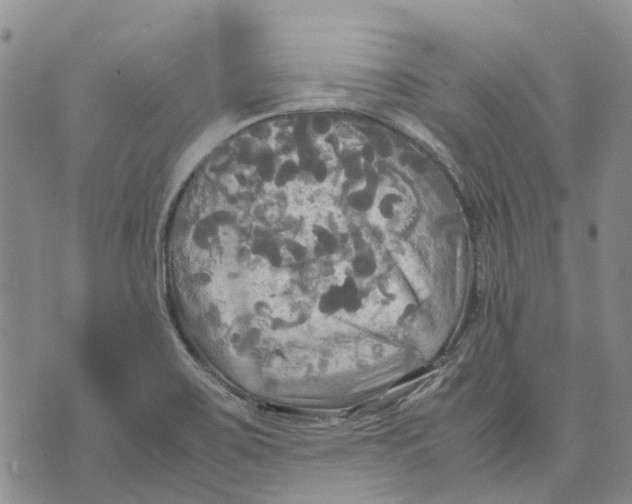 X0000072521467200608041519