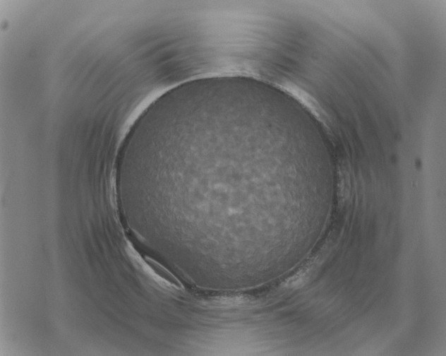 X0000072521468200608041519