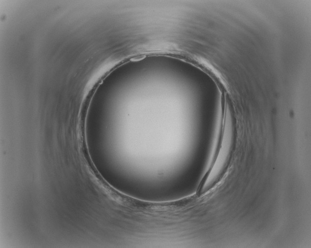 X0000072521469200608041519