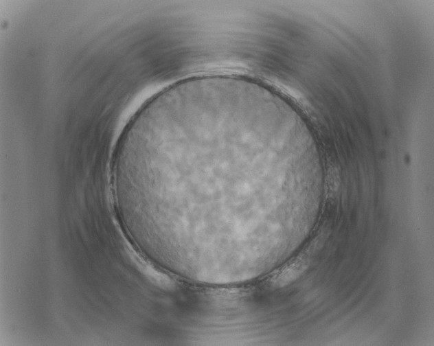 X0000072521470200608041519