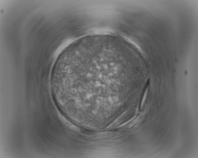 X0000072521471200608041519