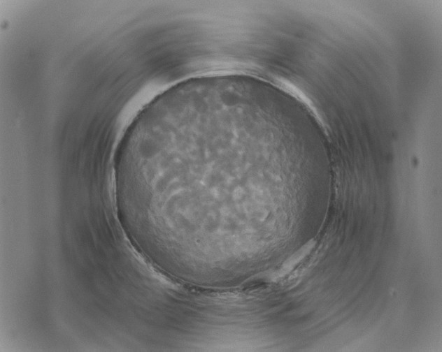 X0000072521472200608041519