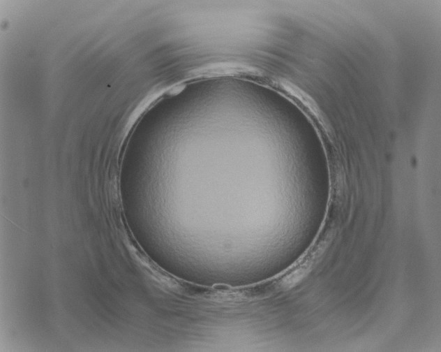 X0000072521473200608041519