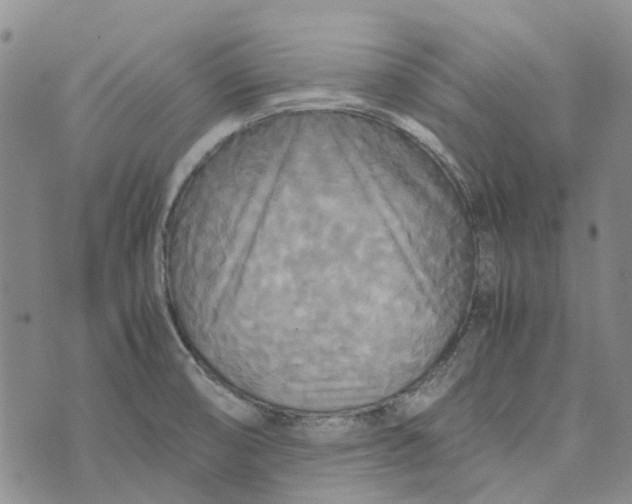 X0000072521474200608041519