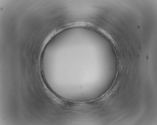 X0000072521475200608041519