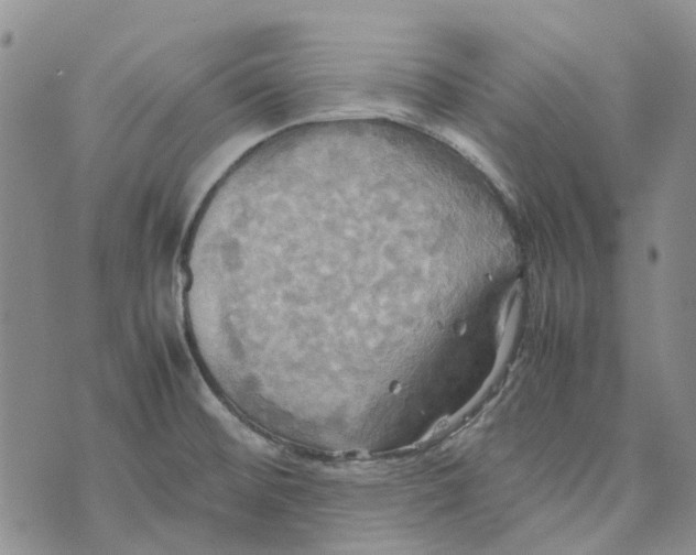 X0000072521476200608041519