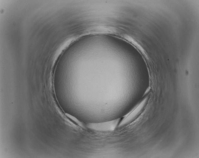 X0000072521477200608041519