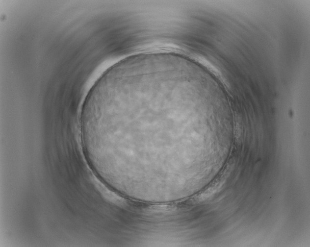 X0000072521478200608041519