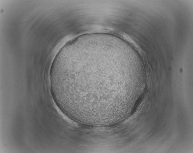 X0000072521479200608041519