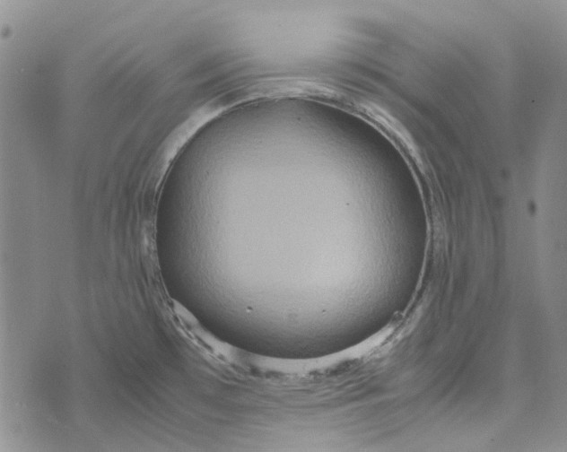 X0000072521481200608041519