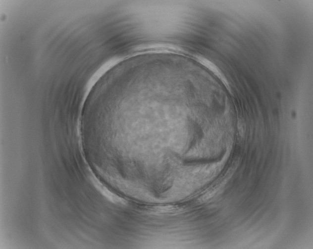 X0000072521482200608041519