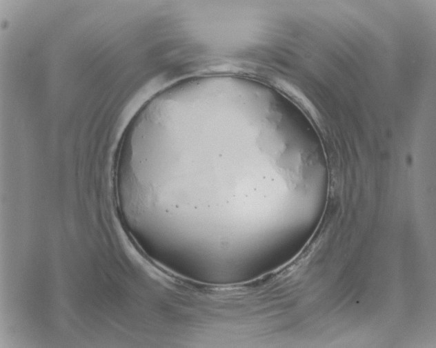 X0000072521483200608041519