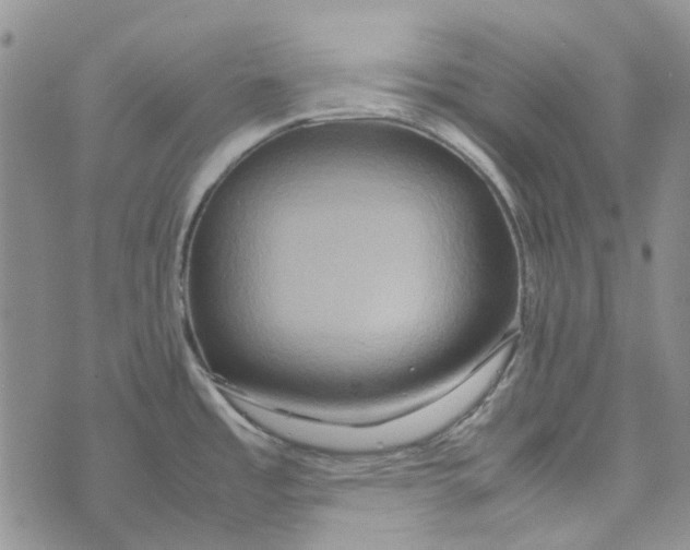 X0000072521485200608041519