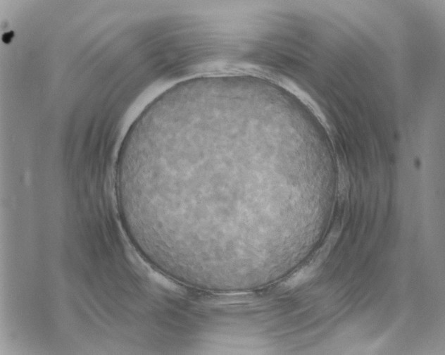 X0000072521486200608041519