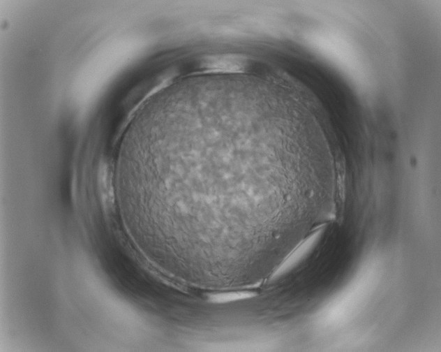 X0000072521487200608041519