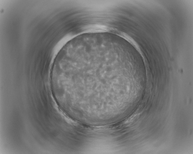 X0000072521488200608041519