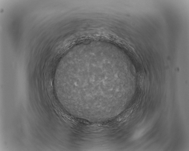 X0000072521489200608041518