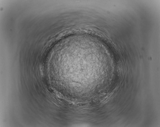 X0000072521490200608041518