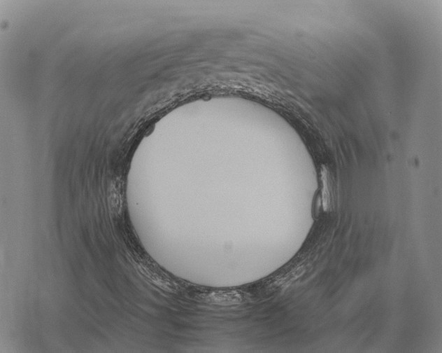 X0000072521491200608041518