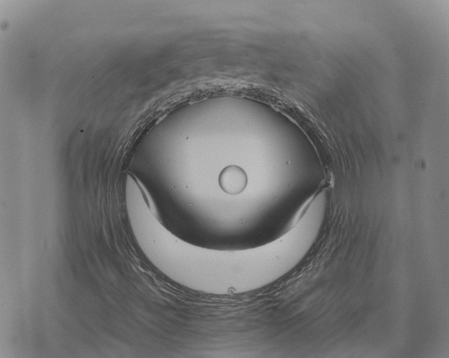 X0000072521492200608041518