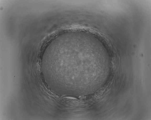 X0000072521493200608041518