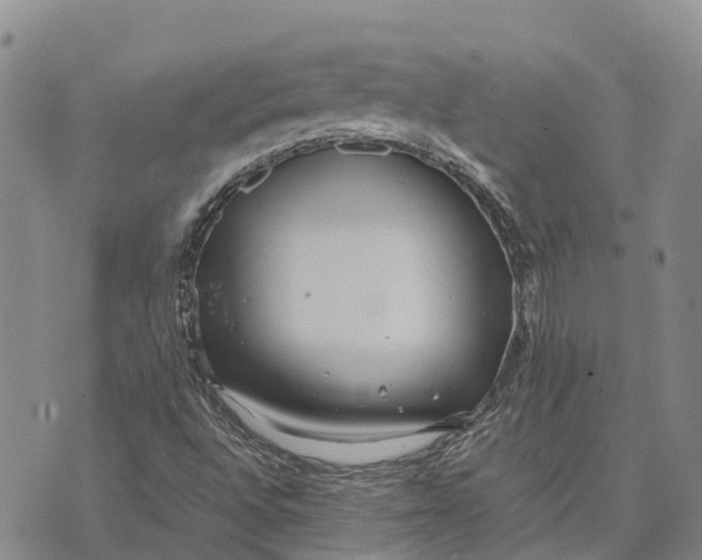 X0000072521496200608041518