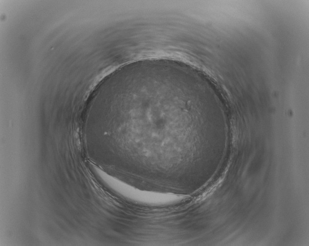 X0000072521497200608041518