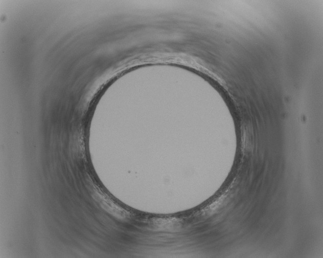 X0000072521498200608041518