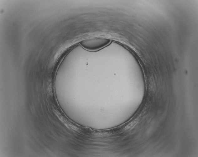 X0000072521499200608041518