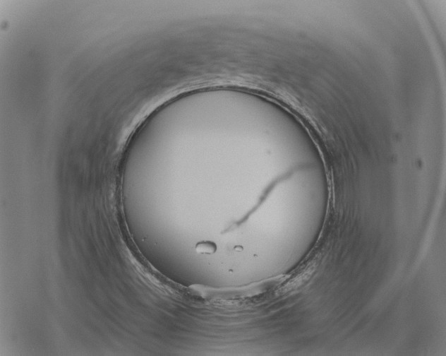 X0000072521500200608041518