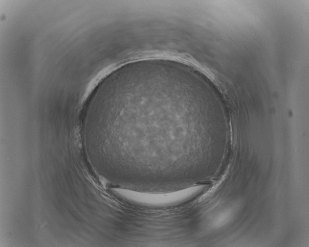 X0000072521501200608041518