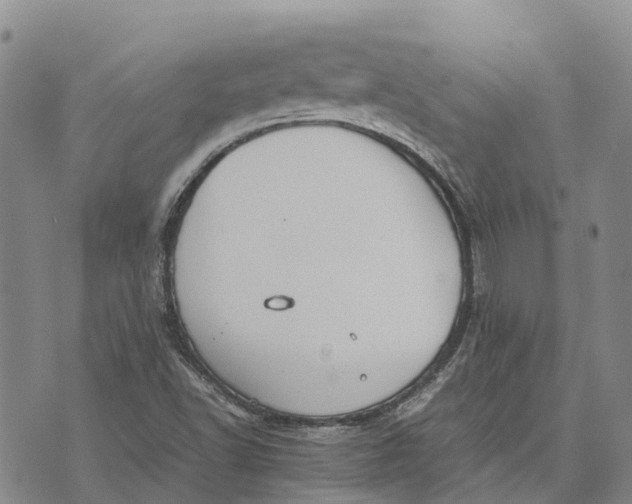 X0000072521502200608041518