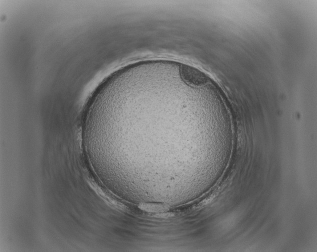 X0000072521503200608041519