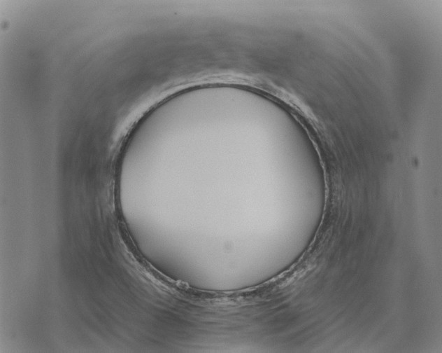 X0000072521504200608041519